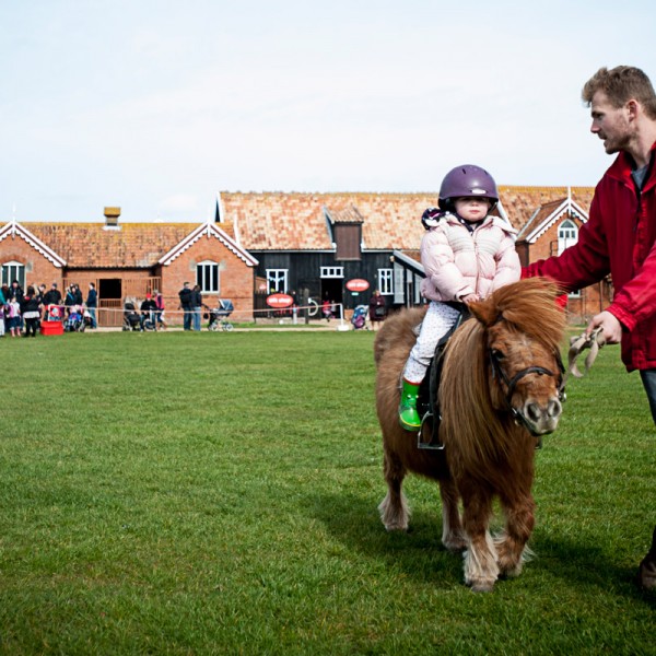 Easton Farm Park A great day out for all the family!
