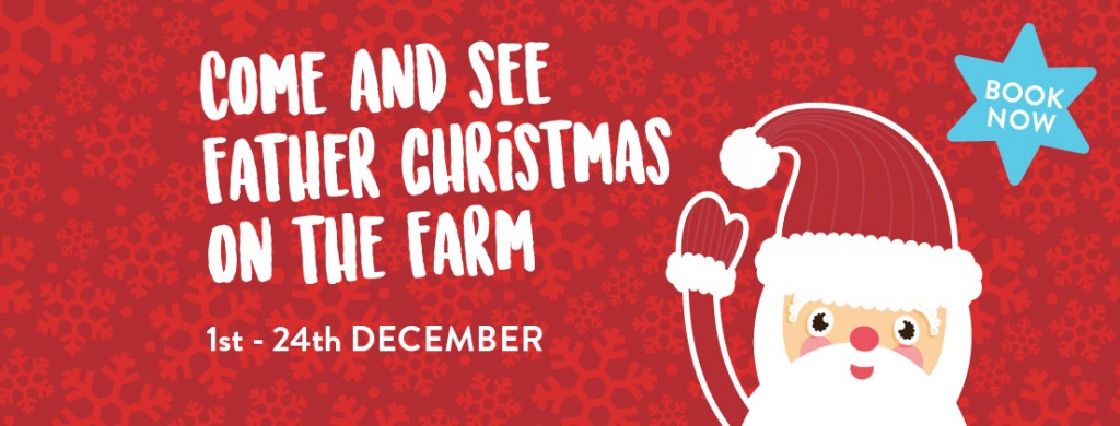 EFP_Christmas_FacebookCover