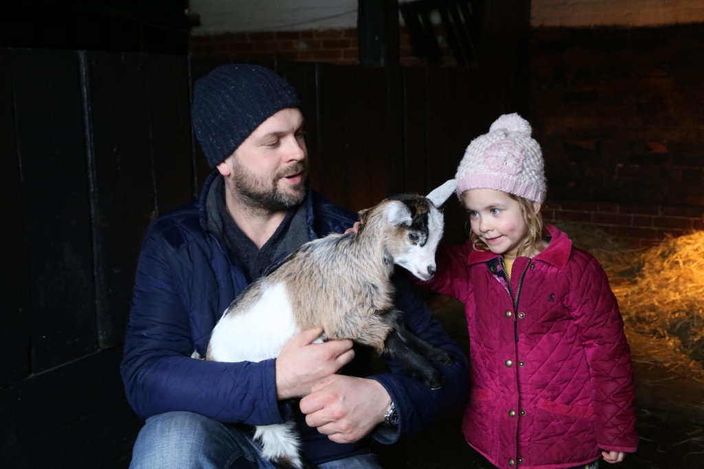 Getting close to animals at Easton Farm Park