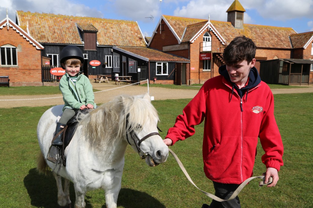 Children pony rides