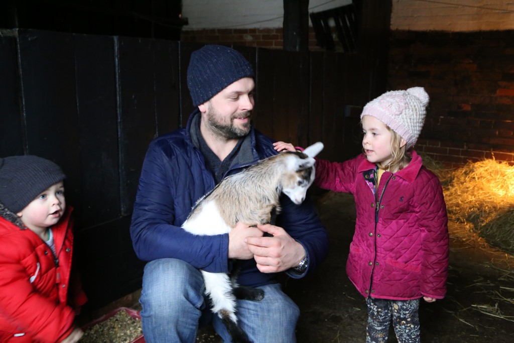 Fun for all the family at Easton Farm Park