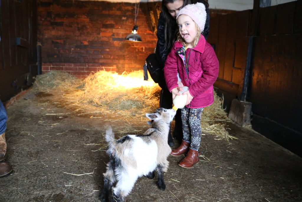 A farm Park for young families