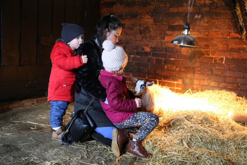 Perfect place to find things to do for young children