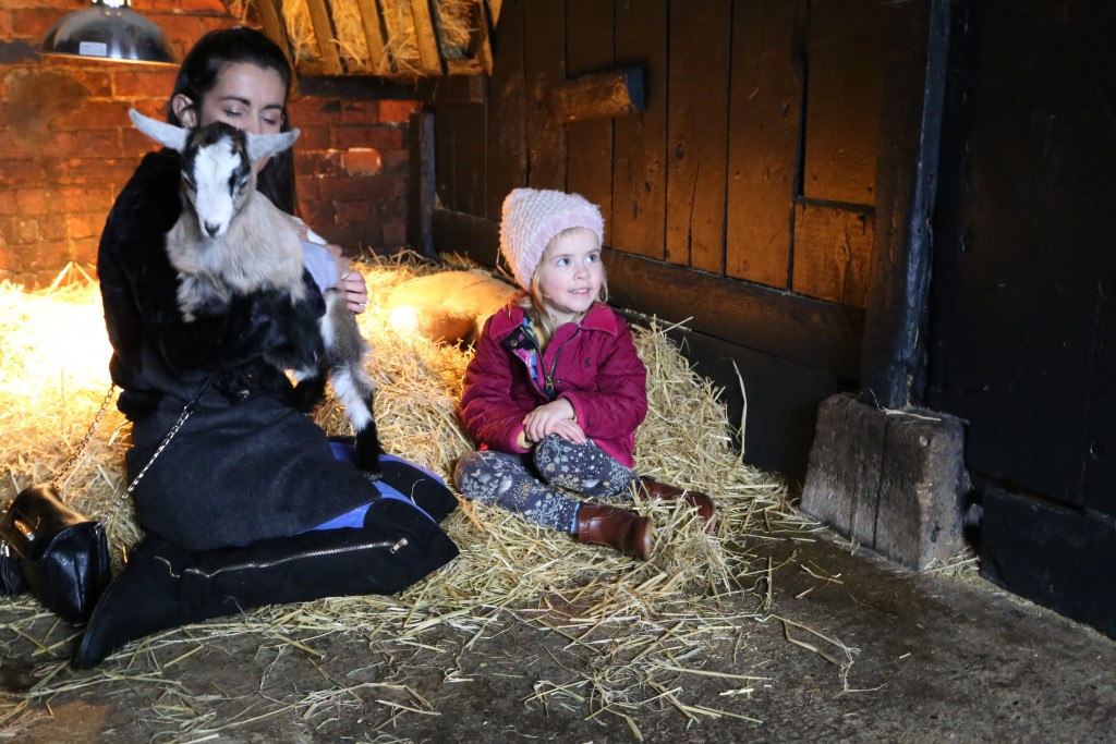 Children's attraction, Easton Farm Park