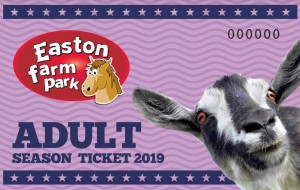 Annual Season ticket