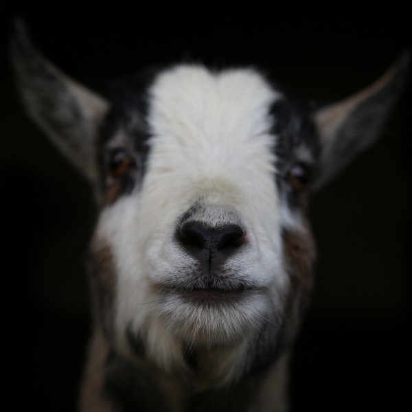 Who you looking at